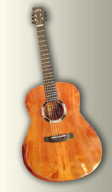 guitaresurmesurebm001008.jpg