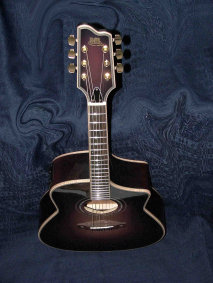 guitaresurmesurebm002009.jpg