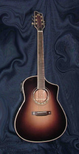 guitaresurmesurebm002010.jpg